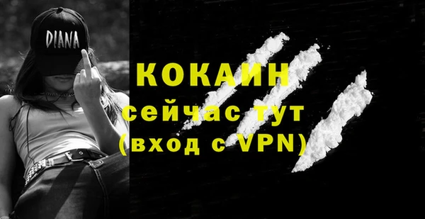 молекула духа Михайлов