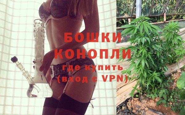 молекула духа Михайлов